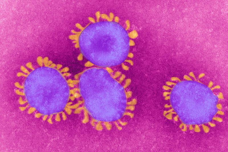 The Millennial’s Guide To Coronavirus