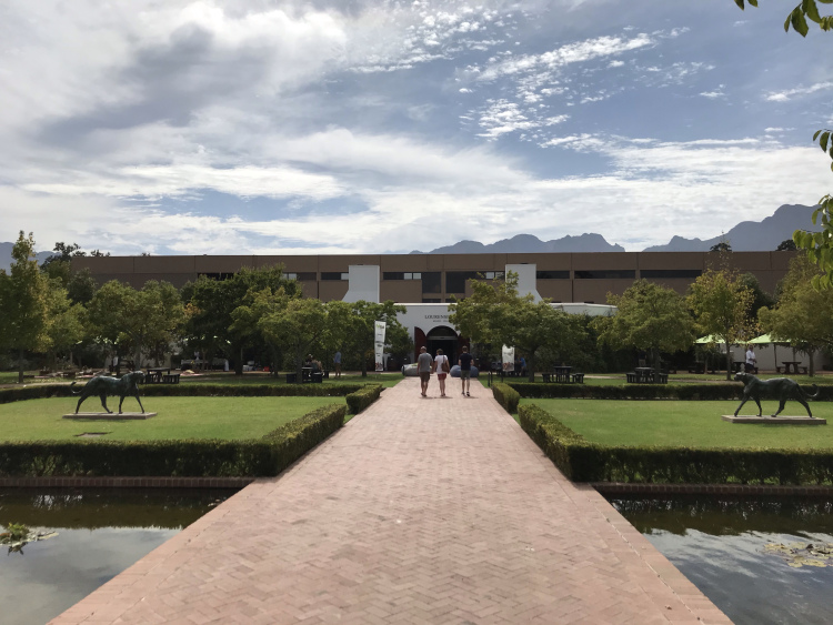 Stellenbosch Hotspots: Lourensford Market