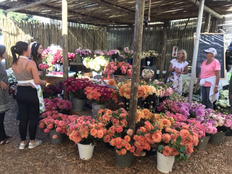 Oranjezicht City Farm Market