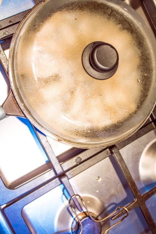 vegan gyoza frying method