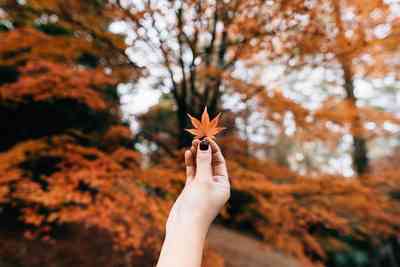 Is It Time To Redefine The Four Seasons For Climate Change? Is It Time To Redefine The Four Seasons For Climate Change?