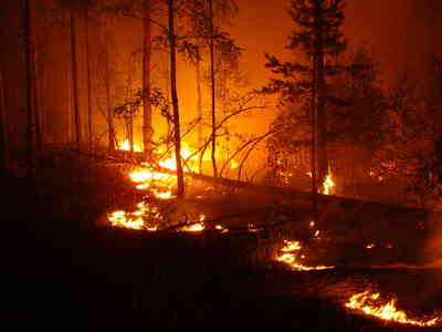 Trump On West Coast Fires: I Don’t Think Science Knows Trump On West Coast Fires: I Don’t Think Science Knows