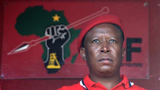 Malema Calls For Open Borders & Postponing Elections